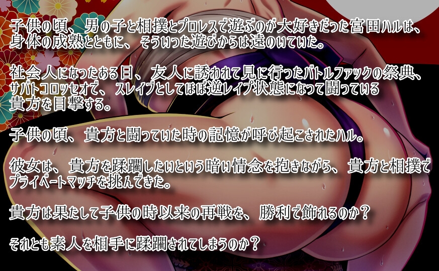 バトルファック12&13 お得なバリューSET!!!/まろねあいすセレクション