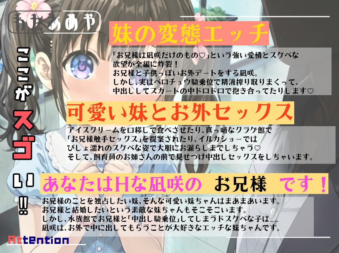 性欲がつよいドスケベな妹と水族館へ行こう！ 【近親相〇、屋外エッチ、見せつけプレイ】