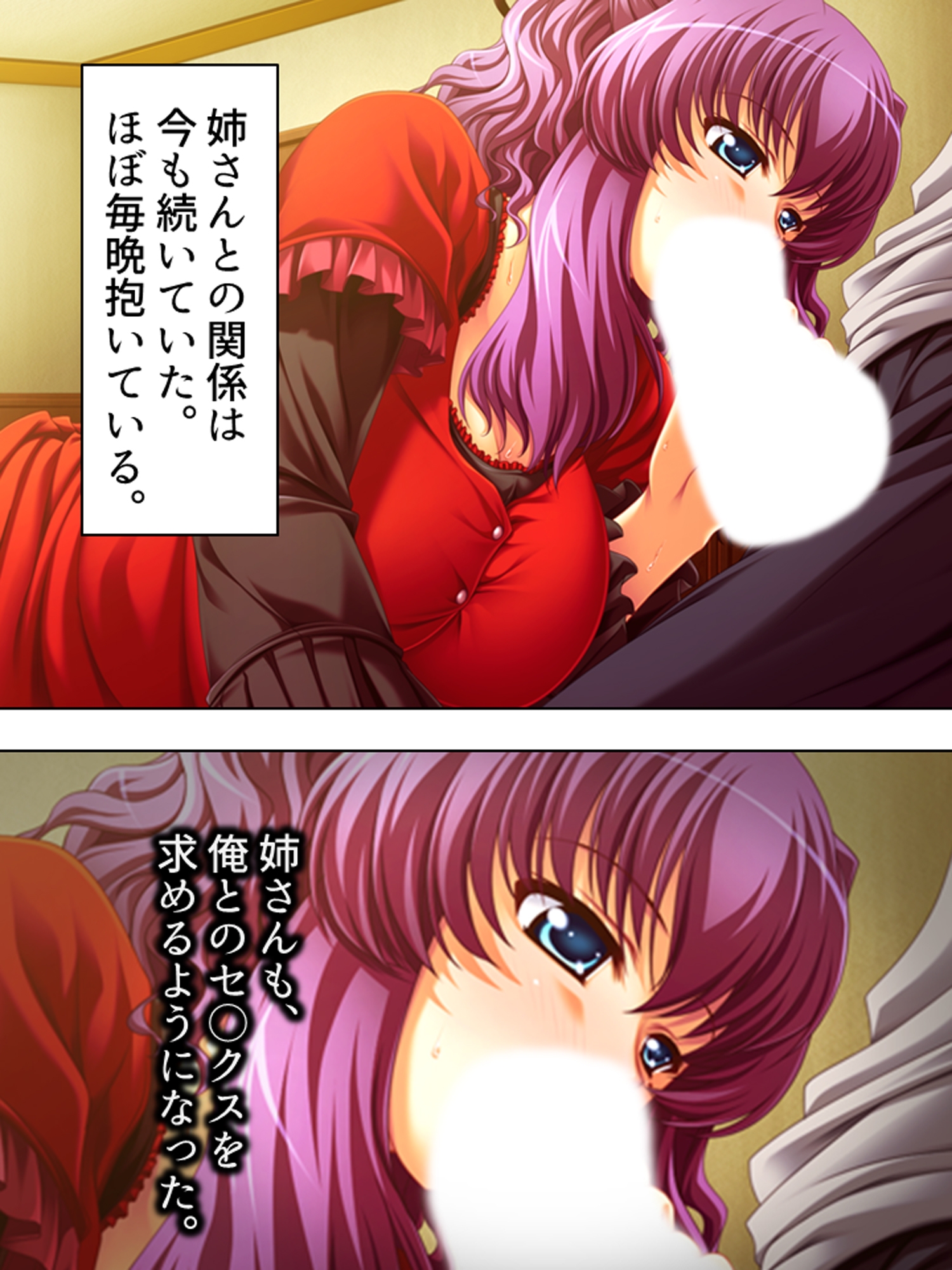 姉夫婦の危機に勃てよ弟！実の姉へエッチのレッスン！ <総集編>