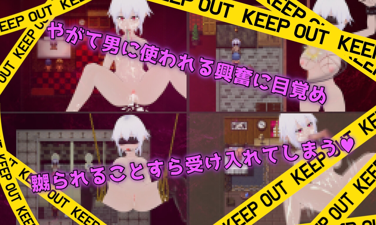 Unknowing 無知なコイビト 寝取らせ性活教育