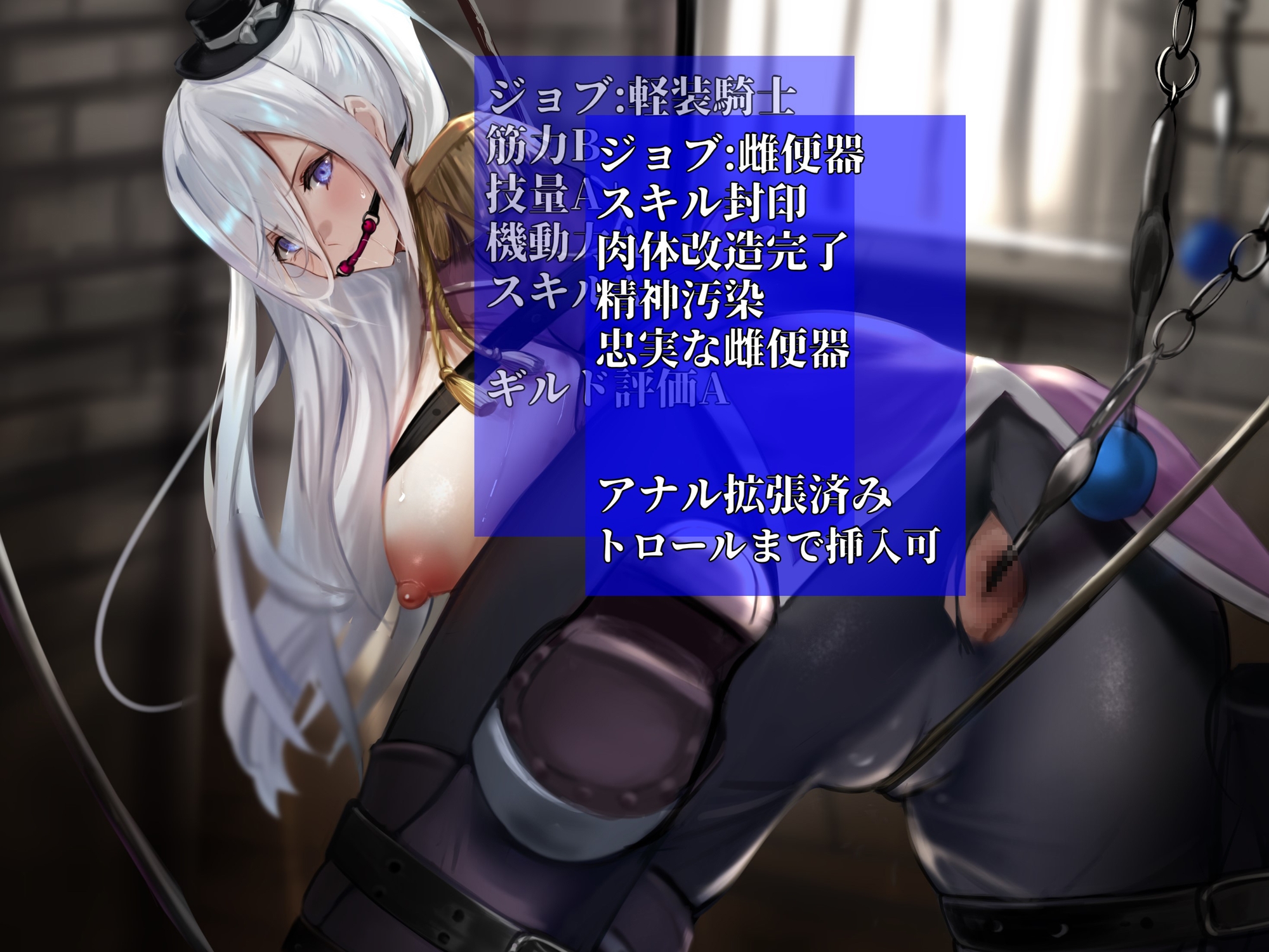 【イケ雌女騎士類能力抽出器具】クールな美女騎士が悪漢の雌便器に調教される物語