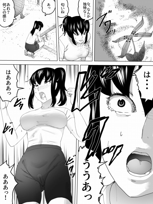 野糞公園と女子便所