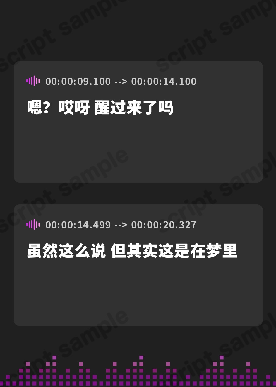 【簡体中文版】浄化戦士ヒーリングソルジャー～敗北する聖女達～≪VSリーナ編≫