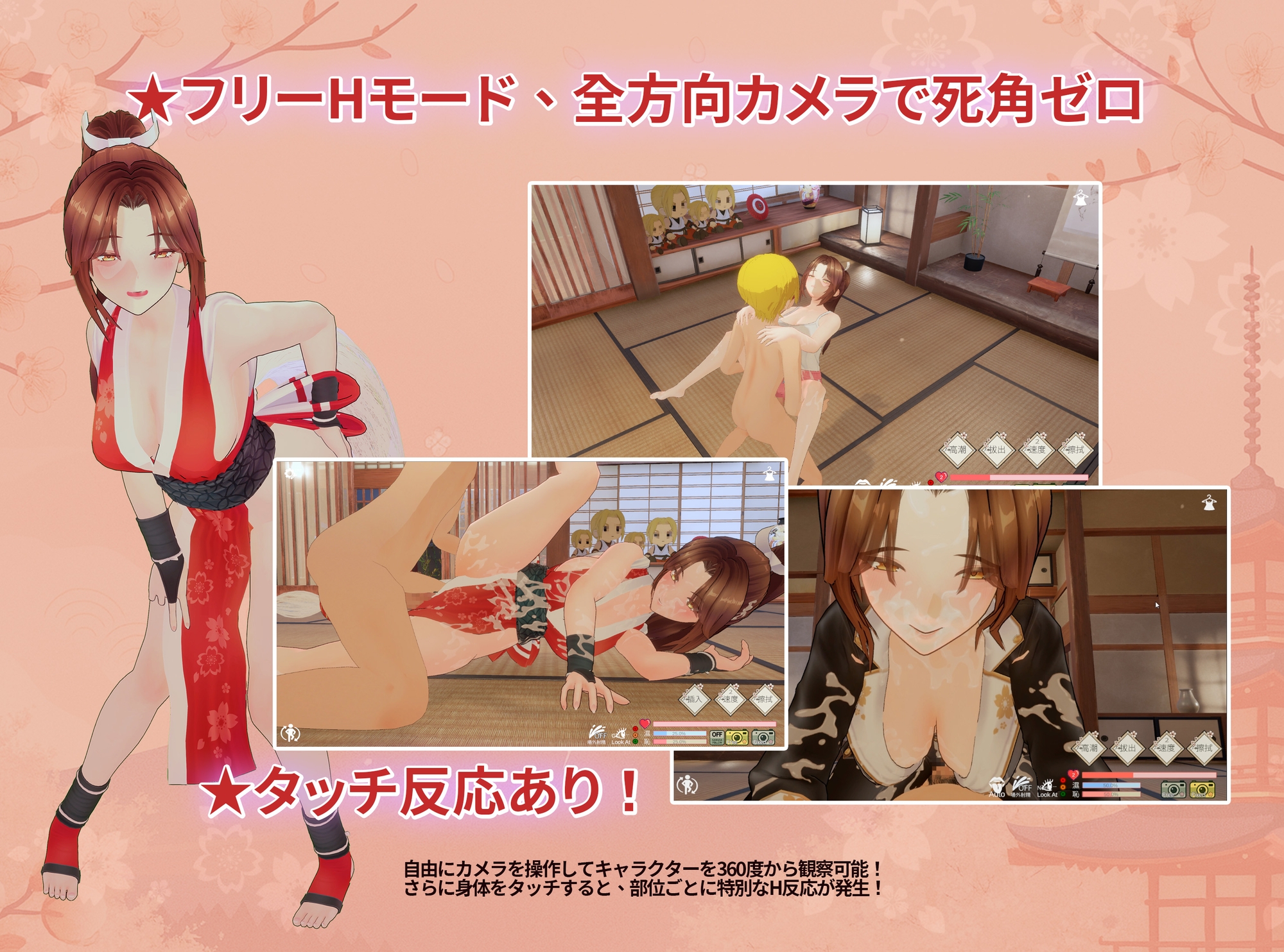 忍法帖 ～舞の淫術伝承の道～