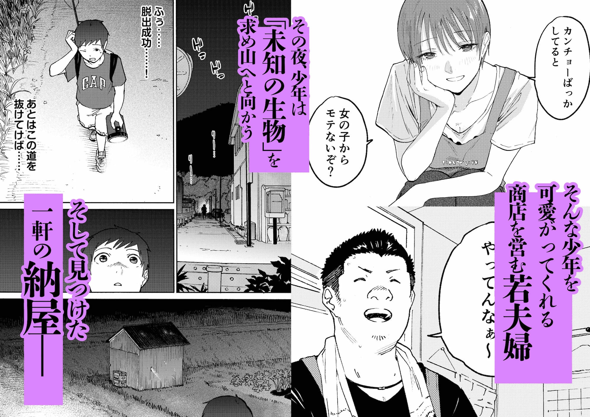 あの納屋〜ぼくが見たことないおばさんの夜の姿〜