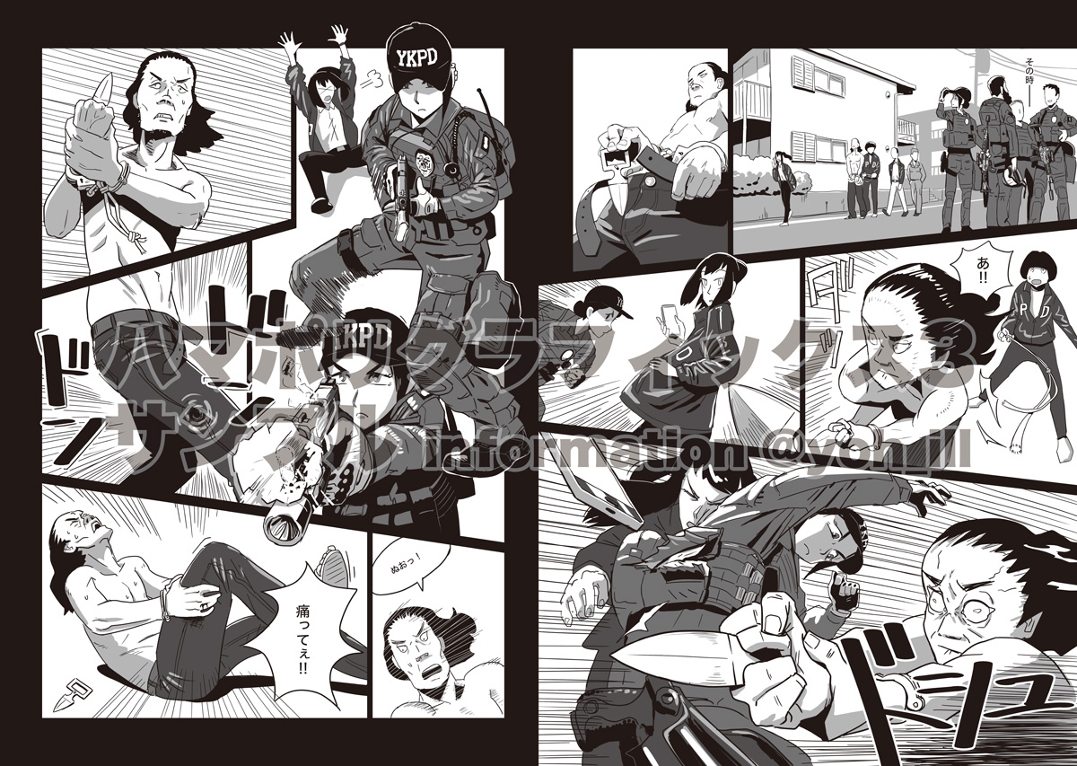 ハマポリグラフィックス3