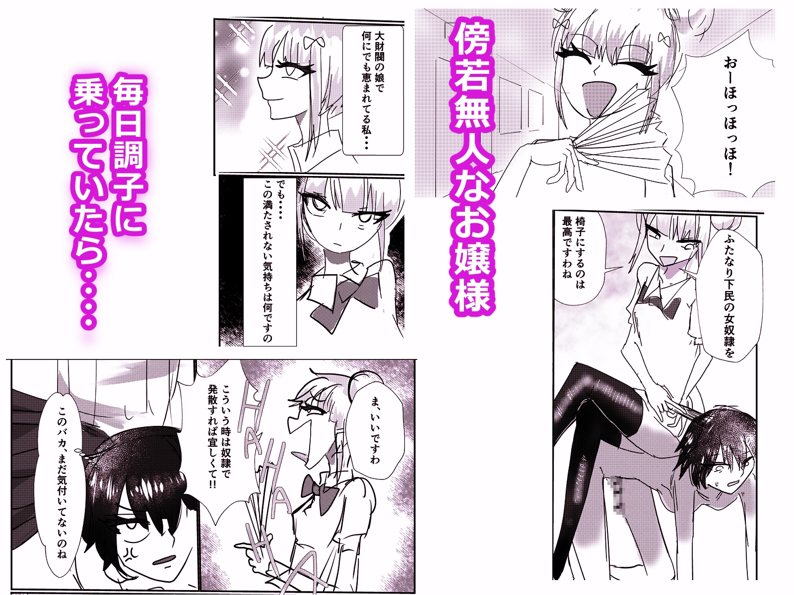 高飛車お嬢様 ふたなり奴○に反逆される