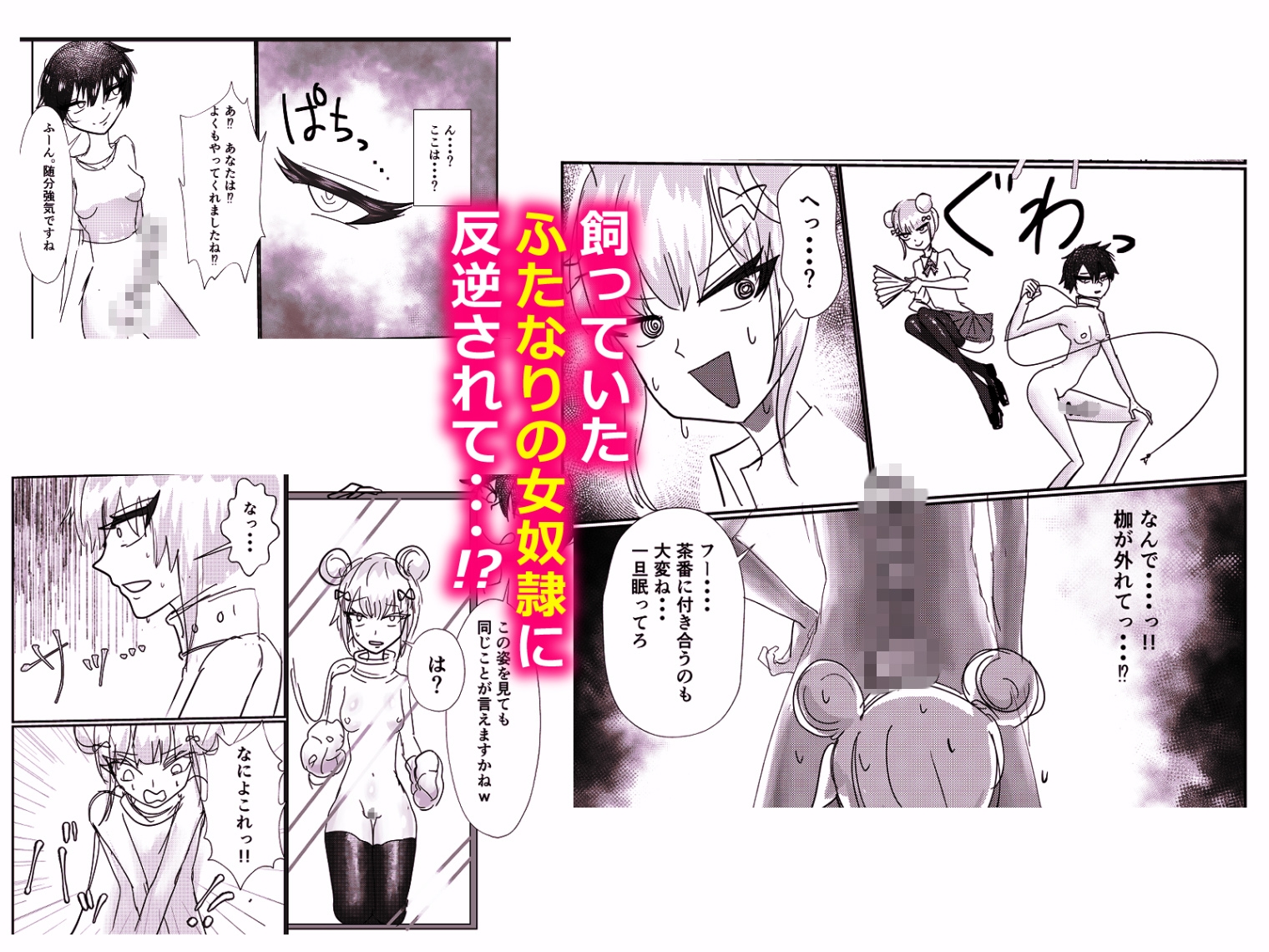 高飛車お嬢様 ふたなり奴○に反逆される