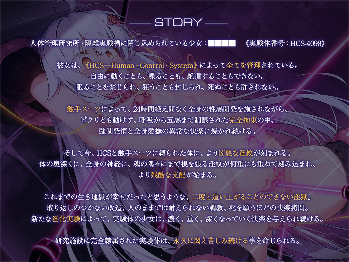 絶対服従プログラムVI 実験体4098 ～多重淫紋刻印実験～