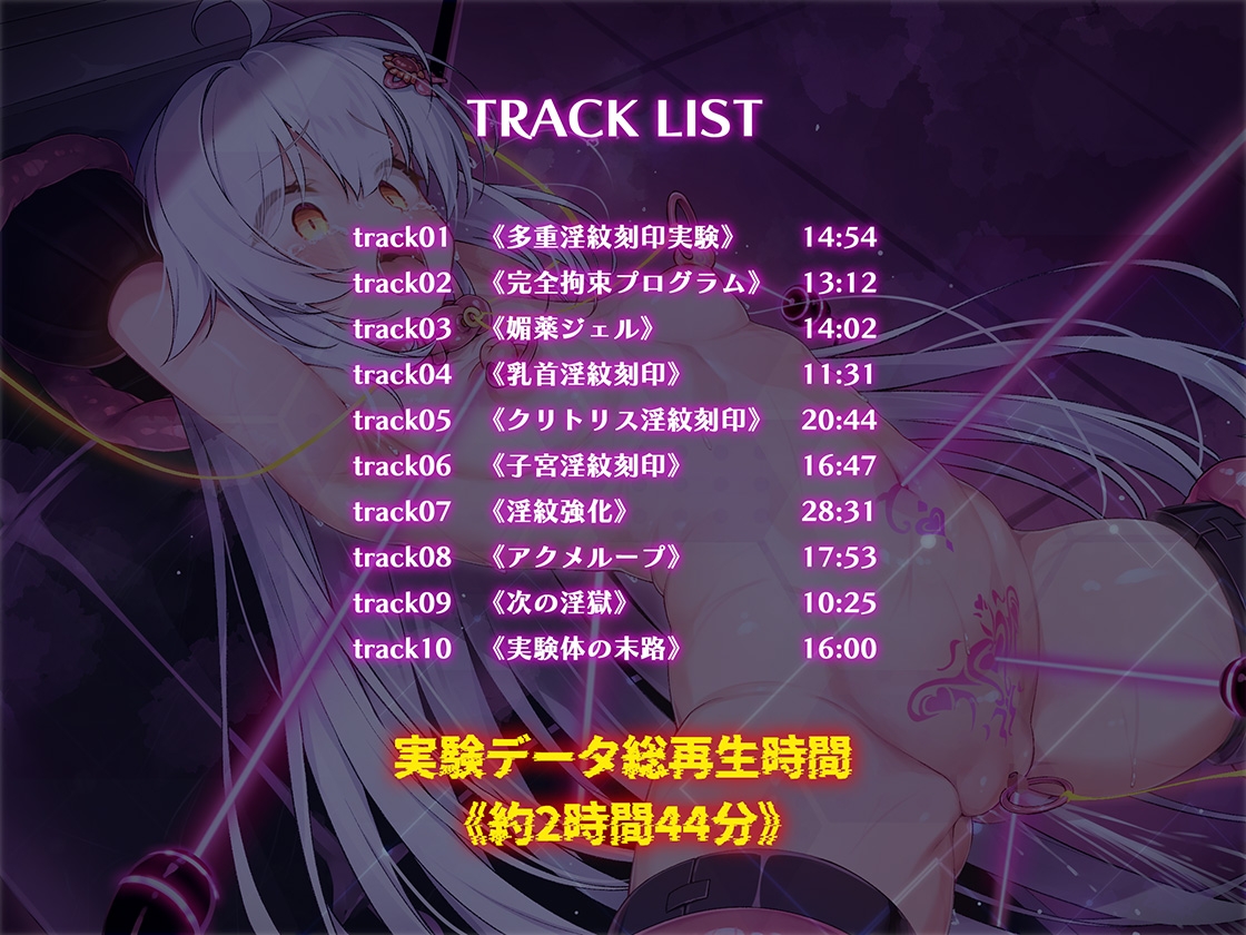 絶対服従プログラムVI 実験体4098 ～多重淫紋刻印実験～
