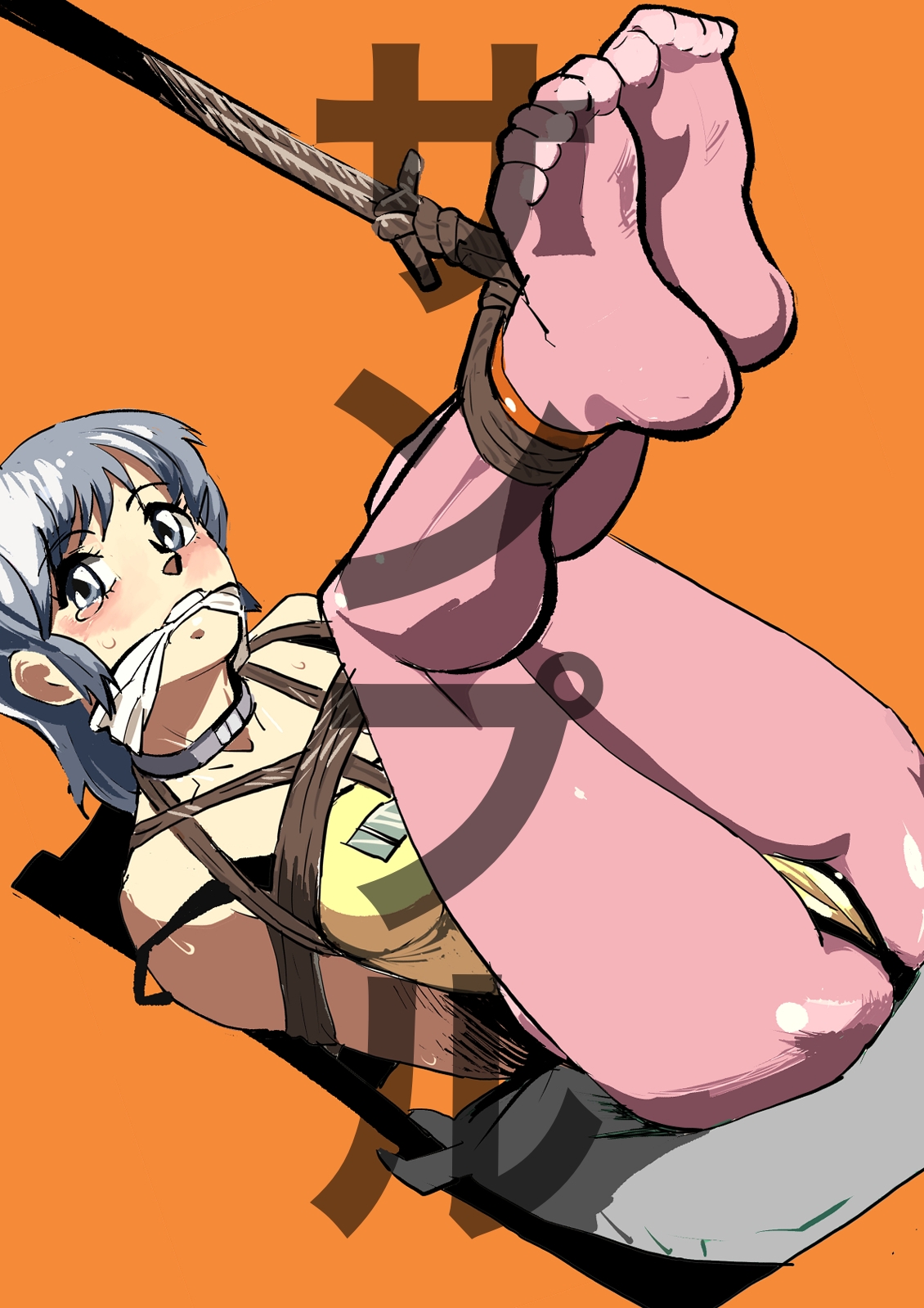 20世紀アニメキャラSM緊縛画集5