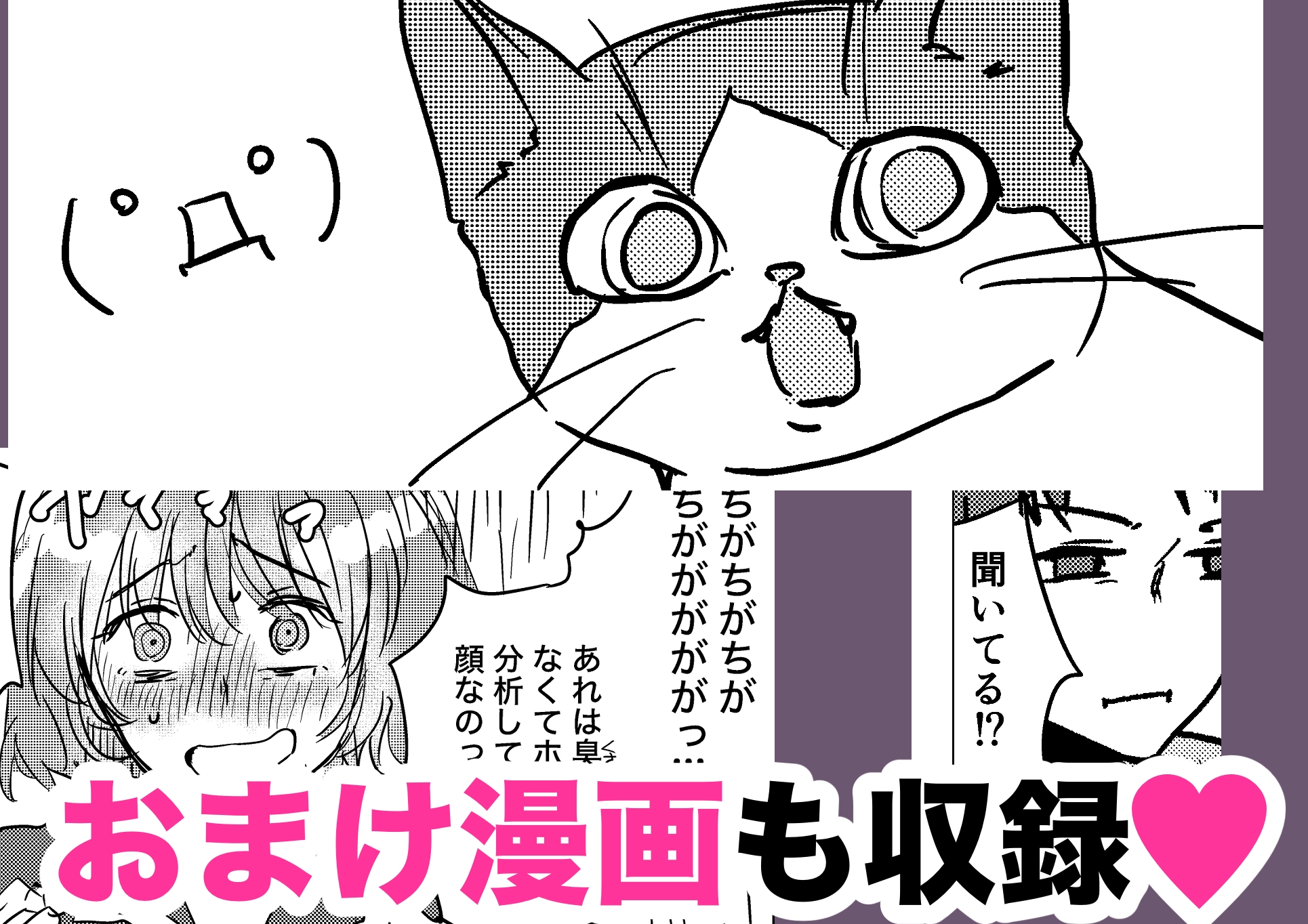 ウチに猫ちゃん見にこない?