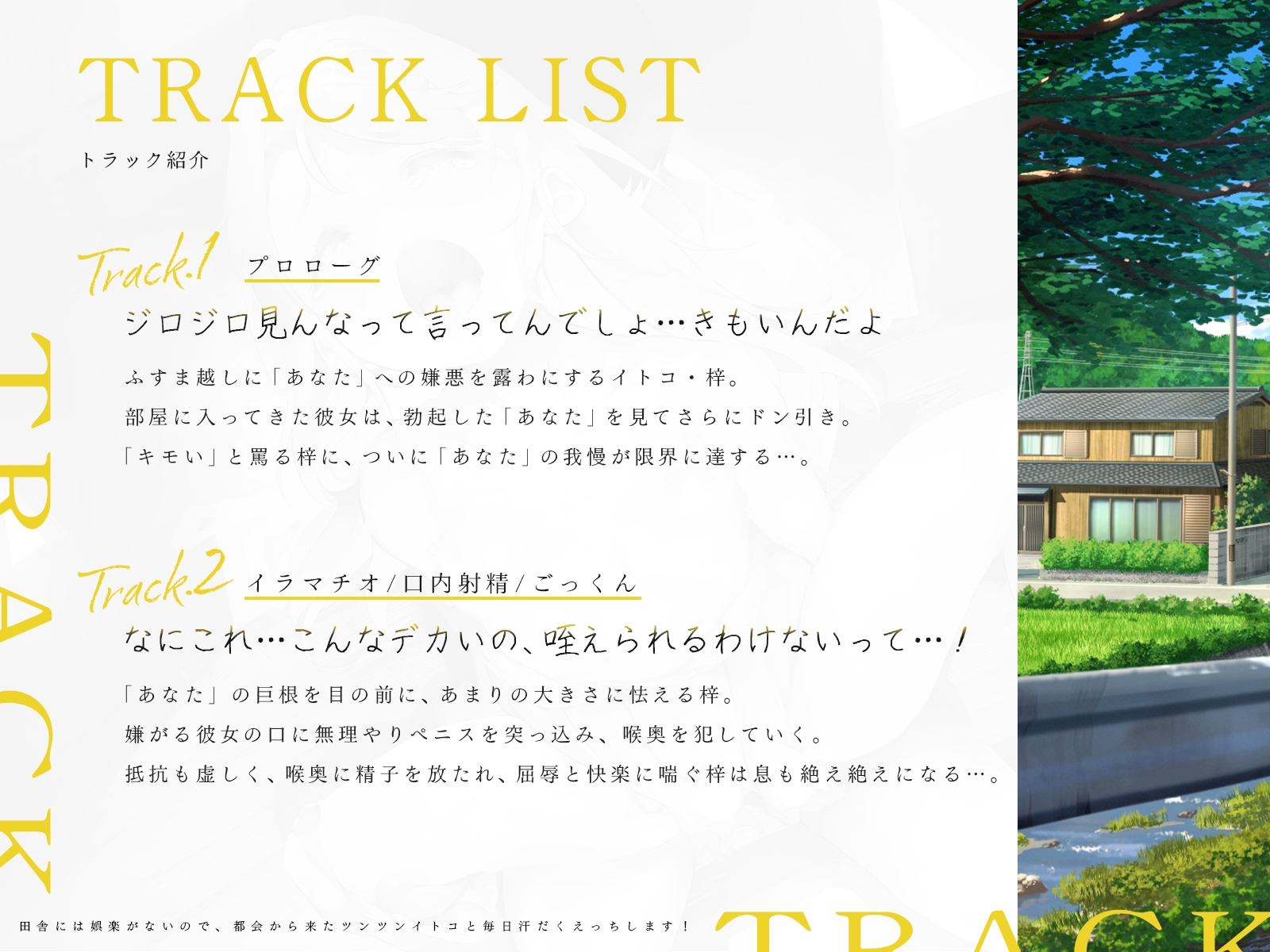 田舎には娯楽がないので、都会から来たツンツンイトコと毎日汗だくえっちします！(KU100マイク収録作品)