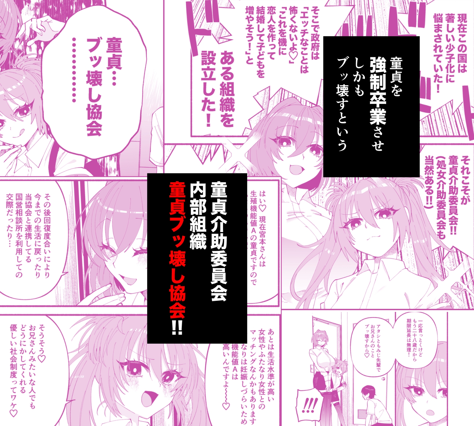 わたくしたち、「童貞介助委員会」内部組織「童貞ブッ壊し協会」の者ですが…