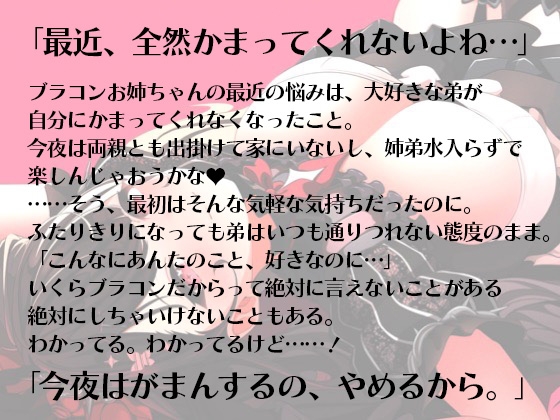 溺愛誘惑ーブラコン姉貴との一夜限りの過ちー