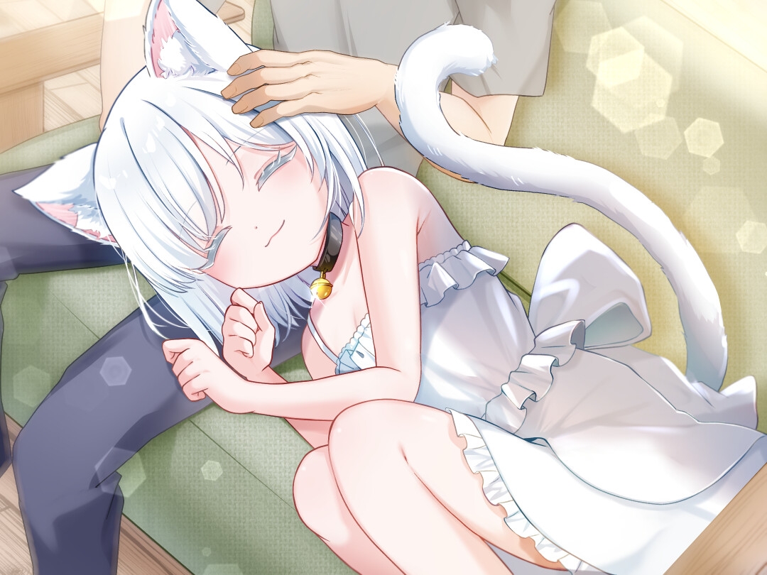 【1時間30分/バイノーラル】しろねこ娘のバニラちゃんは命の恩人のあなたを癒したい【癒し/けもみみ】