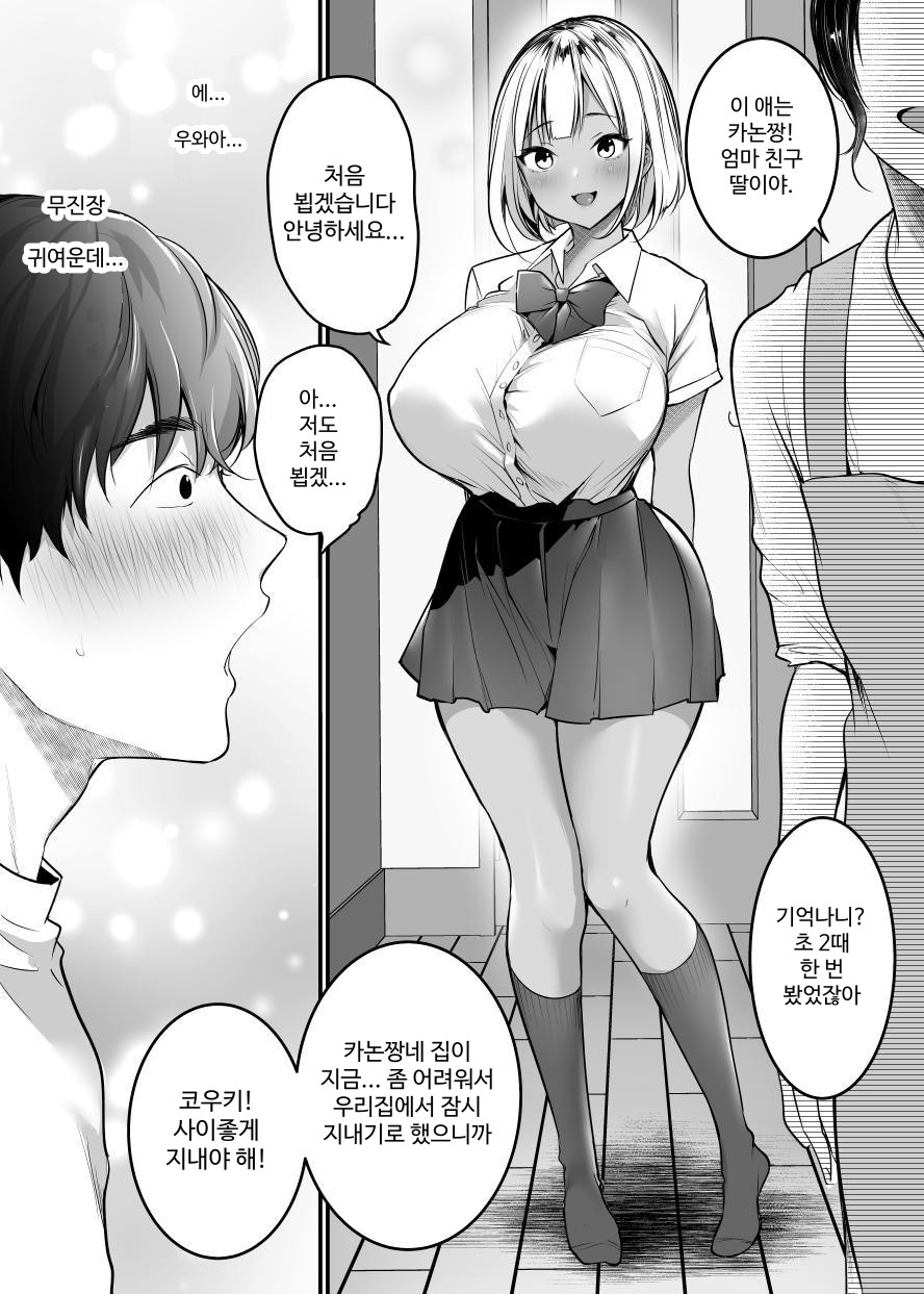 【韓国語版】セックスクローゼット〜居候ギャルと我が家のトイレで〜
