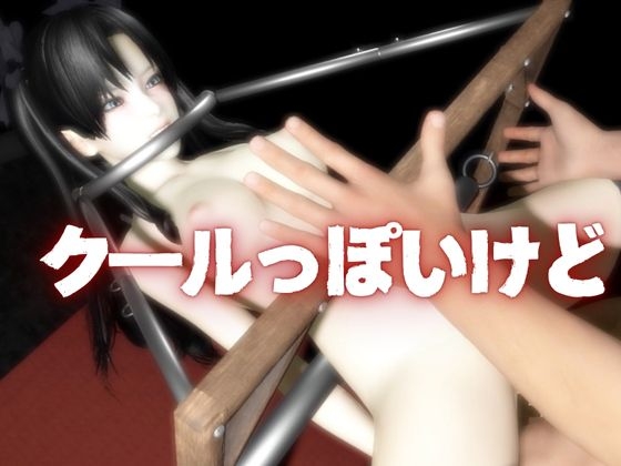 【動画2本】Fateから遠○凛が拘束調教されたり、SMショーに出される調教動画パック