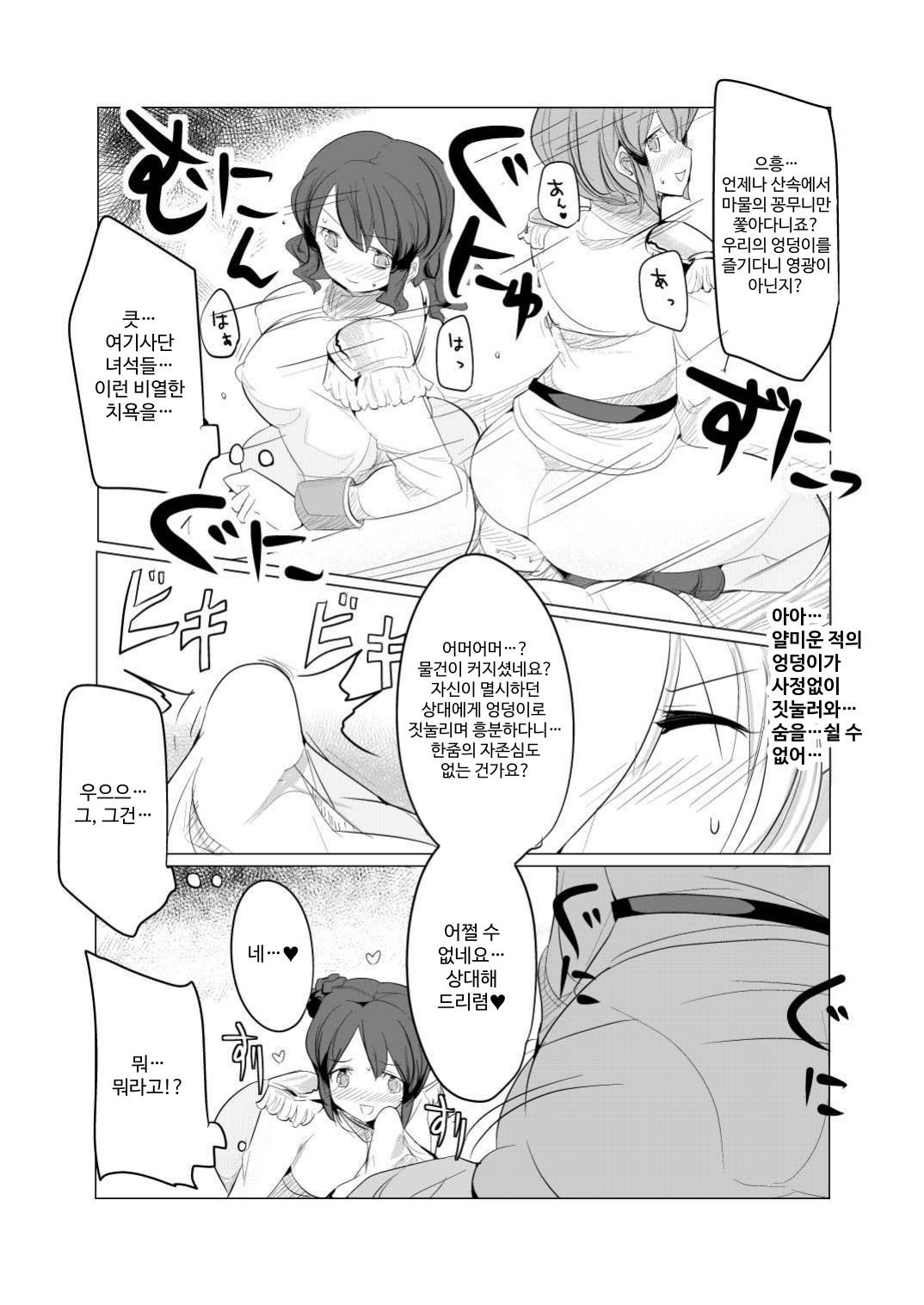 【韓国語版】少年騎士没落