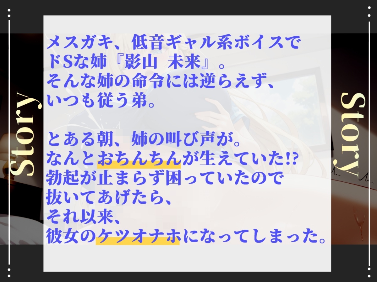 姉の命令は絶対服従~朝起きたら巨大なふたなりち●ぽが生えていたドSな好色姉の性処理係に任命された僕 アナル処女喪失逆レ●プ性活。