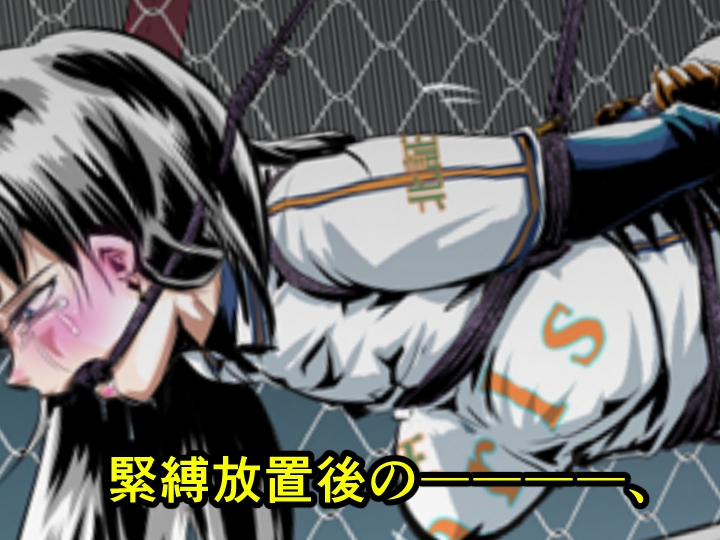 縛闘姫伝SPHINXact11～20アートブック