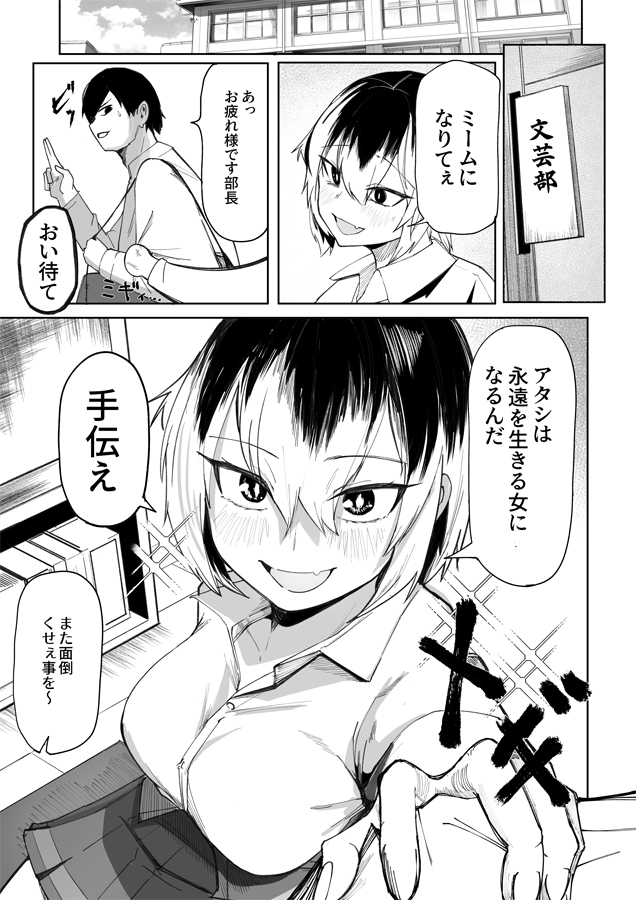 マジカル☆モーニングスター