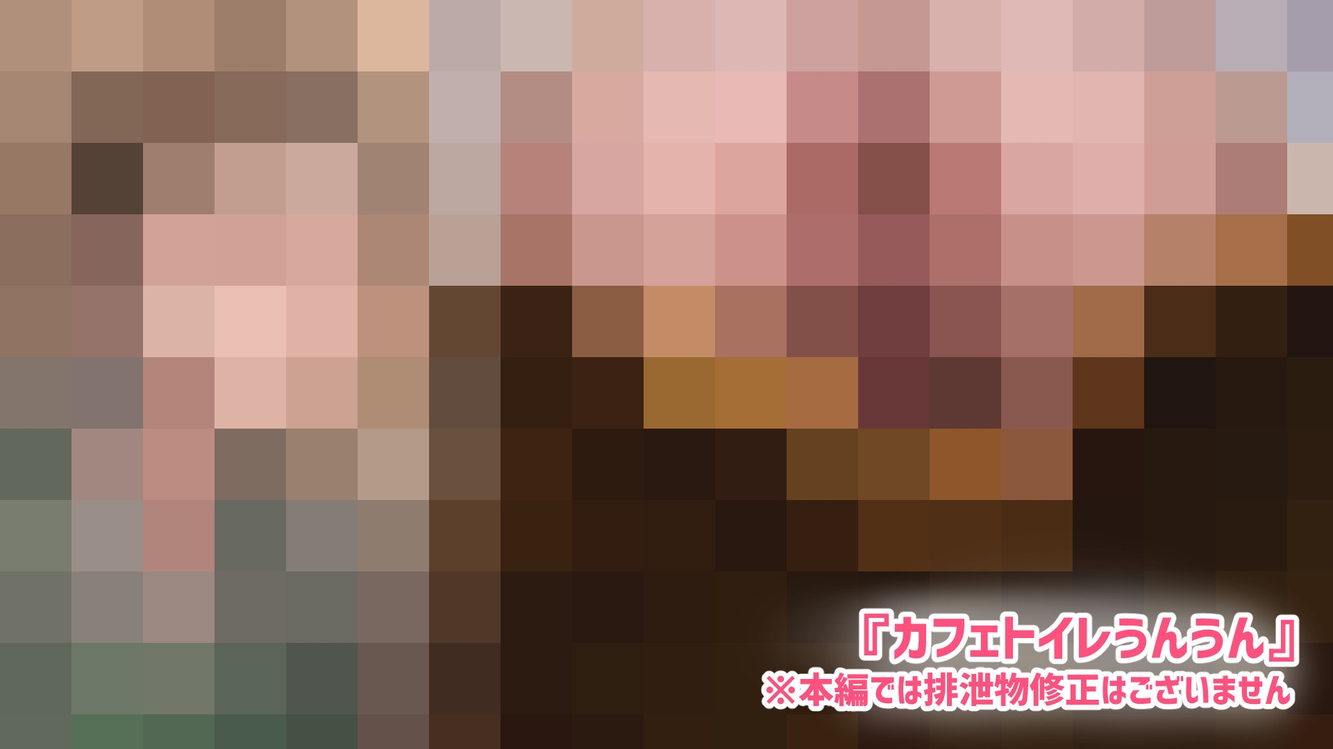 トイレのぞきスカトロ2作品 総集編