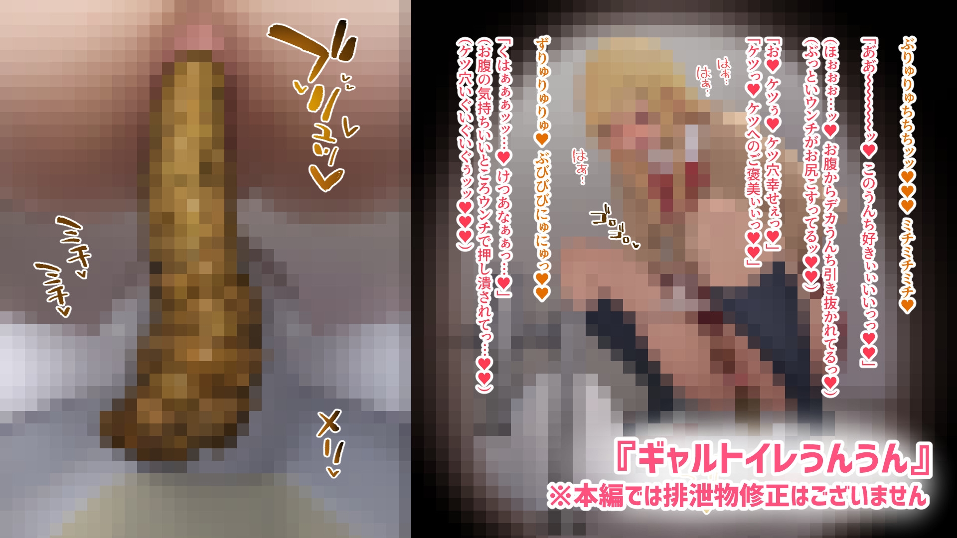 トイレのぞきスカトロ2作品 総集編