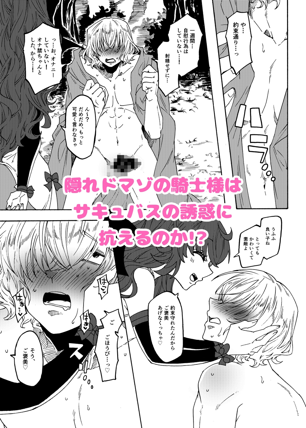 マゾ聖騎士さまとやさしいふたなりサキュバス