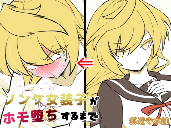 ノンケ女装子がホモ堕ちするまで・総集編