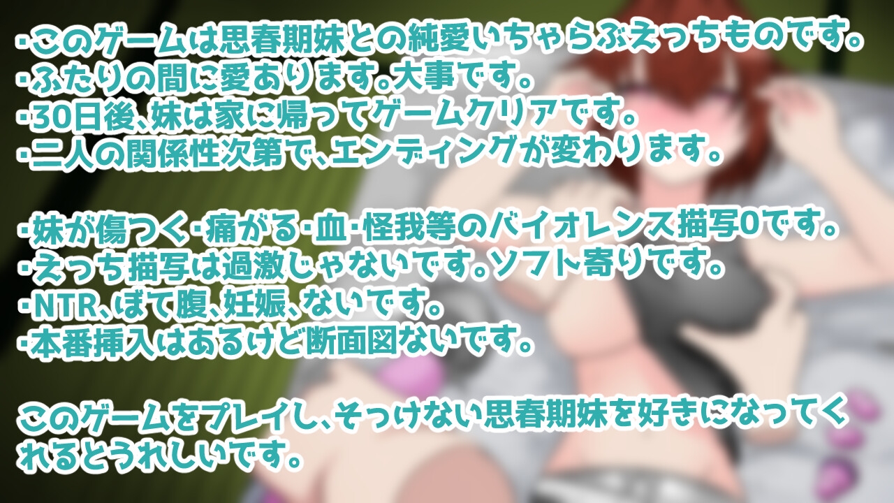 思春期妹とえっちな30日間