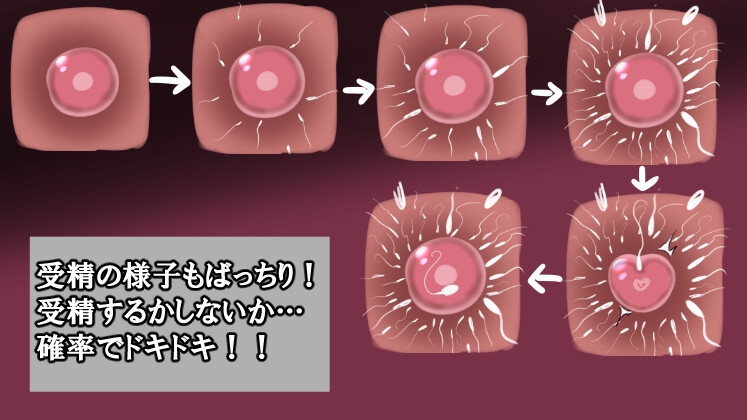 浮気した彼女達を論破してごめんなさいセックス！！