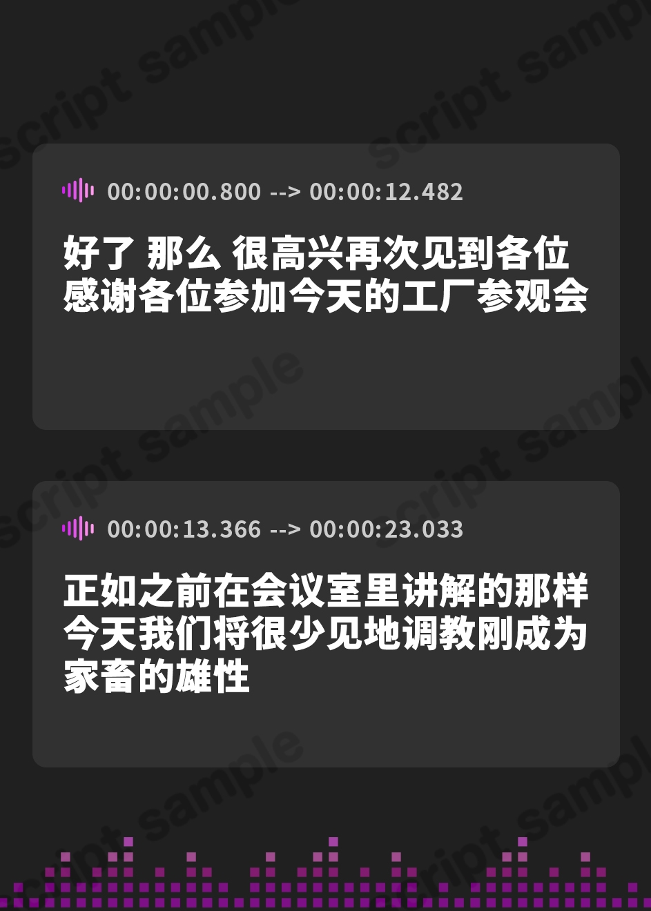 【簡体中文版】家畜射精3 お姉さんの丁寧語でイク工場見学会