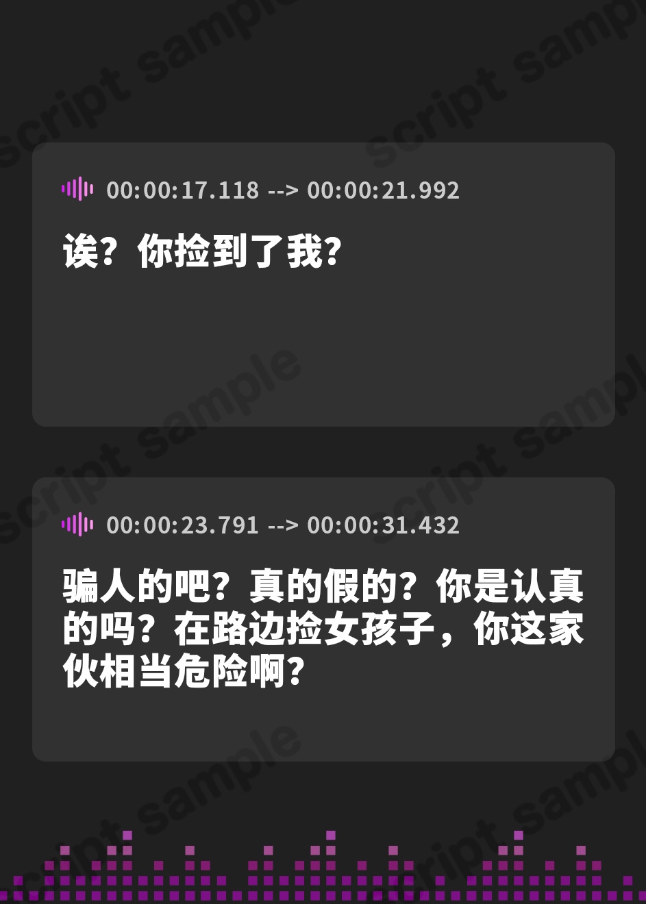 【簡体中文版】サキュバス拾いました