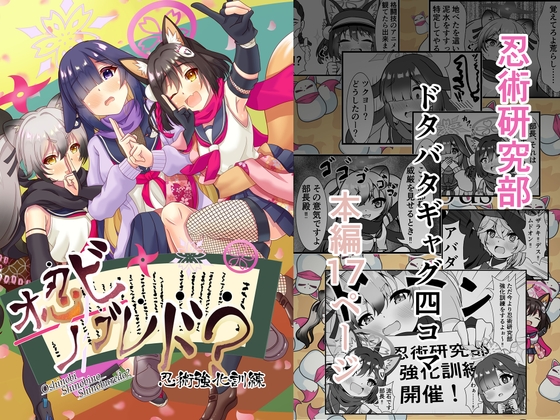 オ忍ビ忍ノ忍ブレド?忍術強化訓練