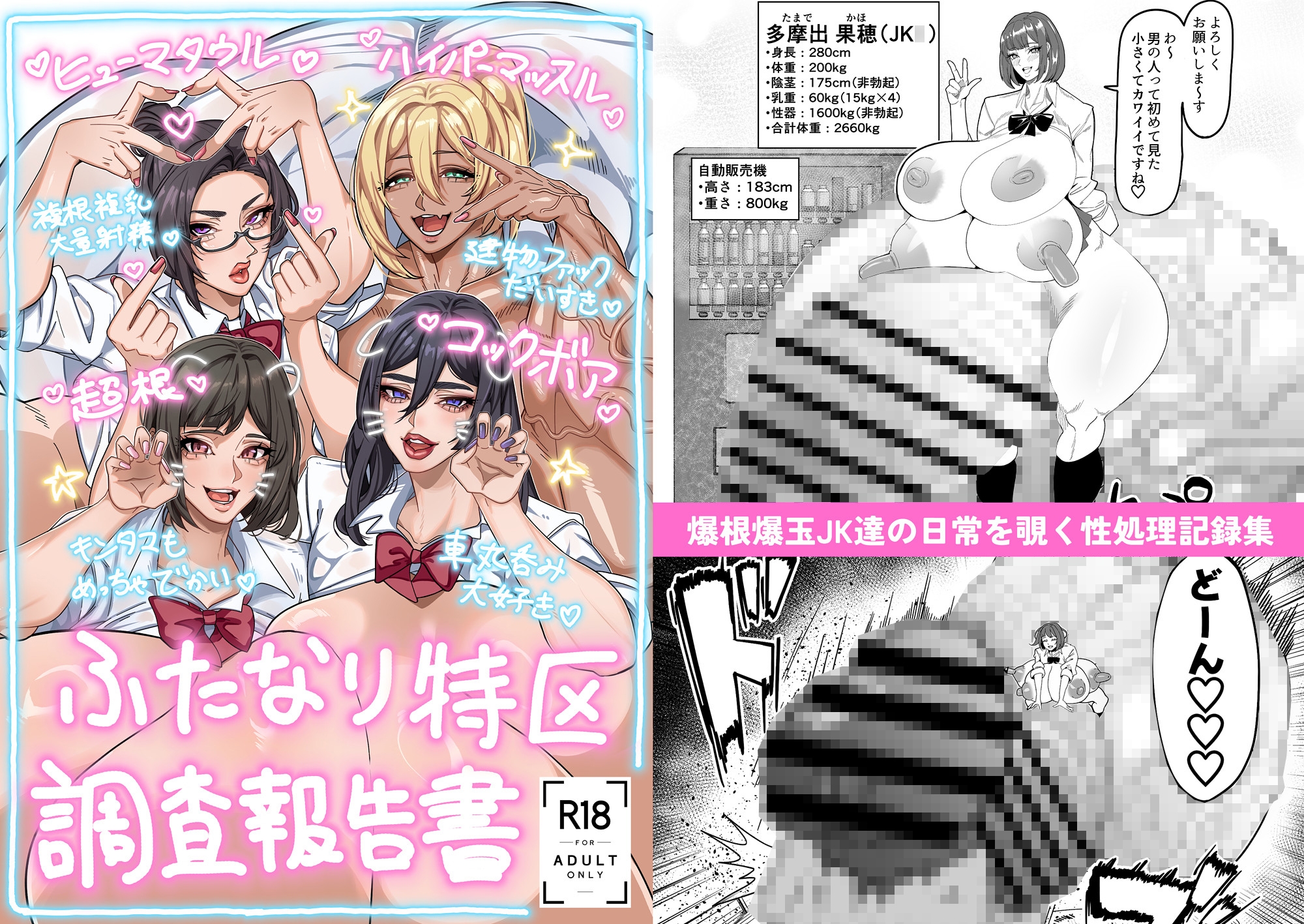 ふたなり特区調査報告書