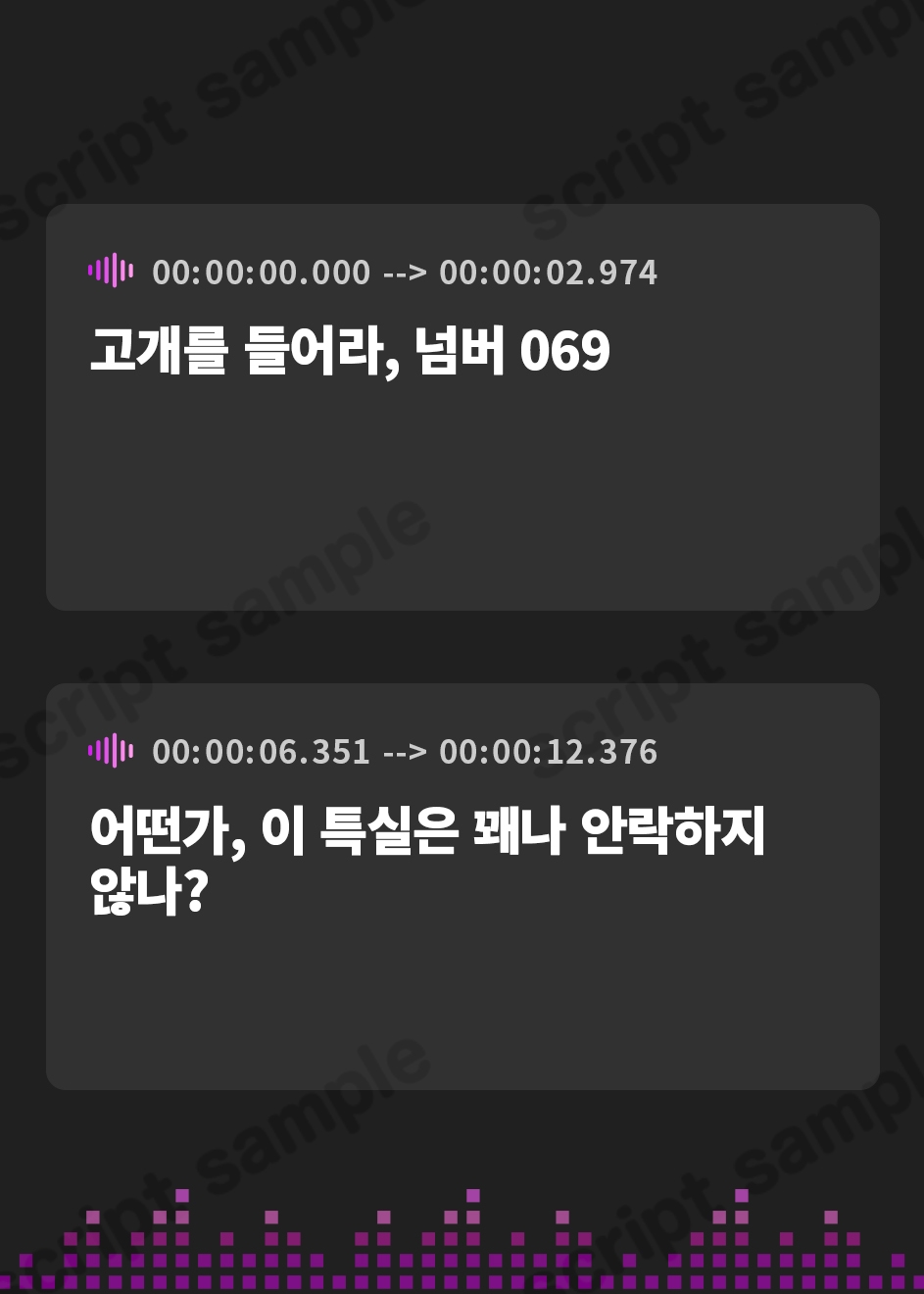 【韓国語版】我が調教 ド変態マゾ豚に墜ちてしまえ