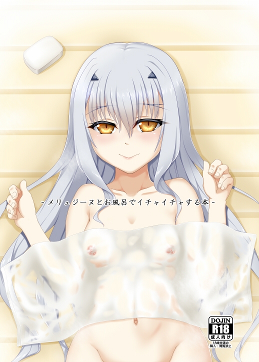 メリュジーヌとお風呂でイチャイチャする本