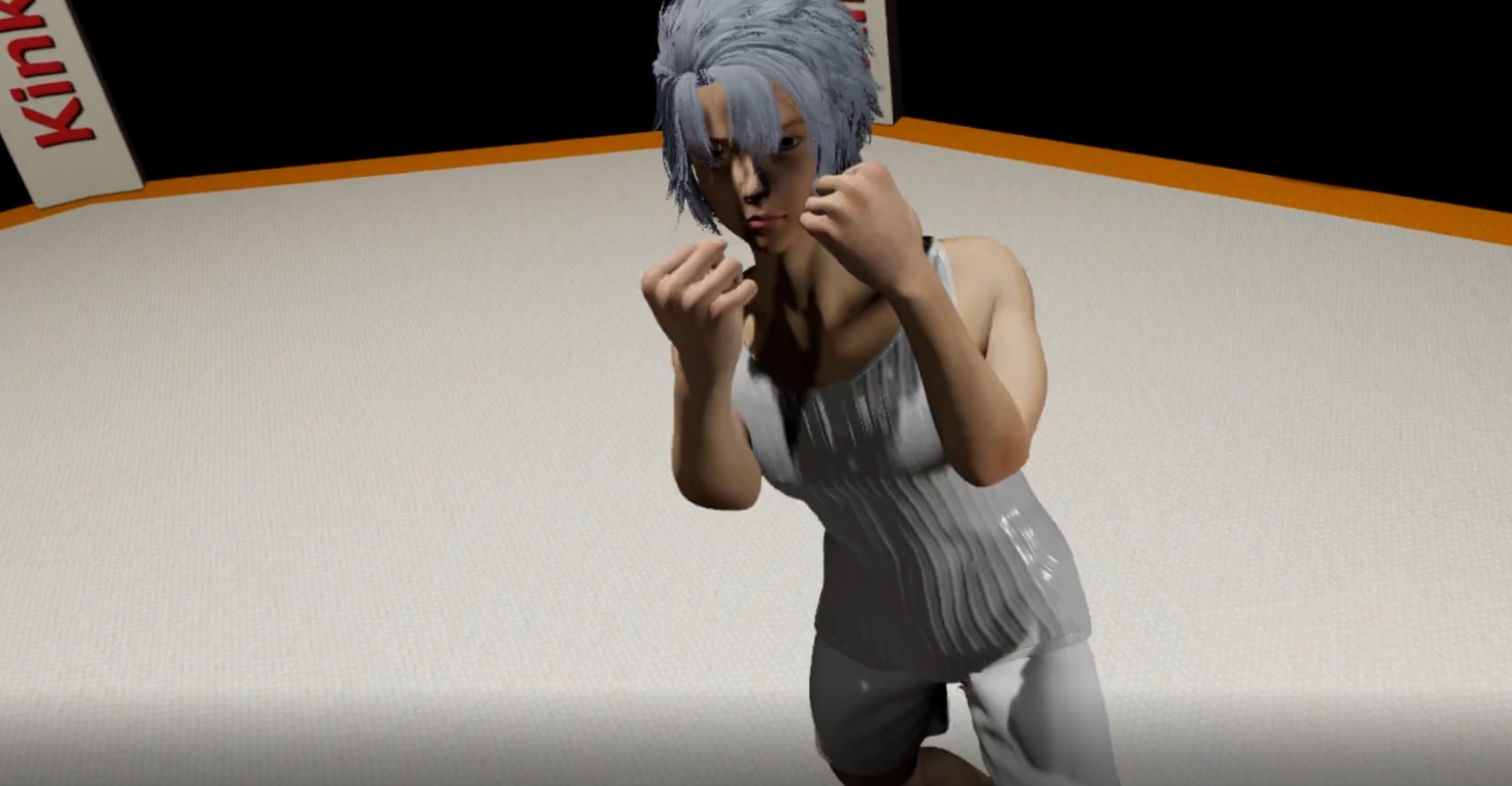 VR変態MMA 全年齢版