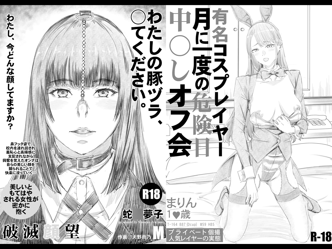 限定本10作品総集編プラス