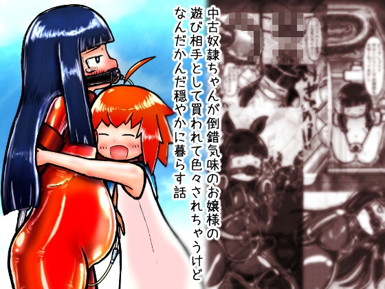 中古奴○ちゃんが倒錯気味のお嬢様の遊び相手として買われて色々されちゃうけどなんだかんだ穏やかに暮らす話