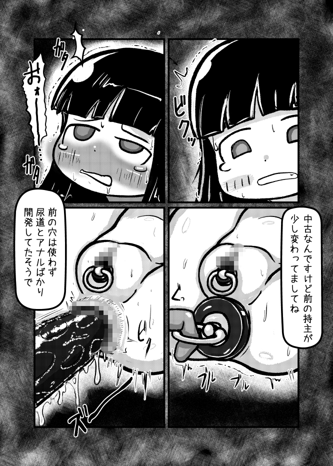 中古奴○ちゃんが倒錯気味のお嬢様の遊び相手として買われて色々されちゃうけどなんだかんだ穏やかに暮らす話