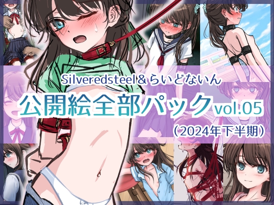 Silveredsteel&らいどないん 公開絵全部パック vol.05 (2024年下半期)