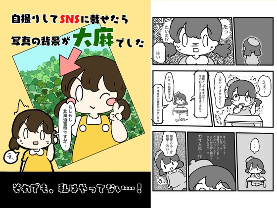 自撮りしてSNSに載せたら写真の背景大麻でした