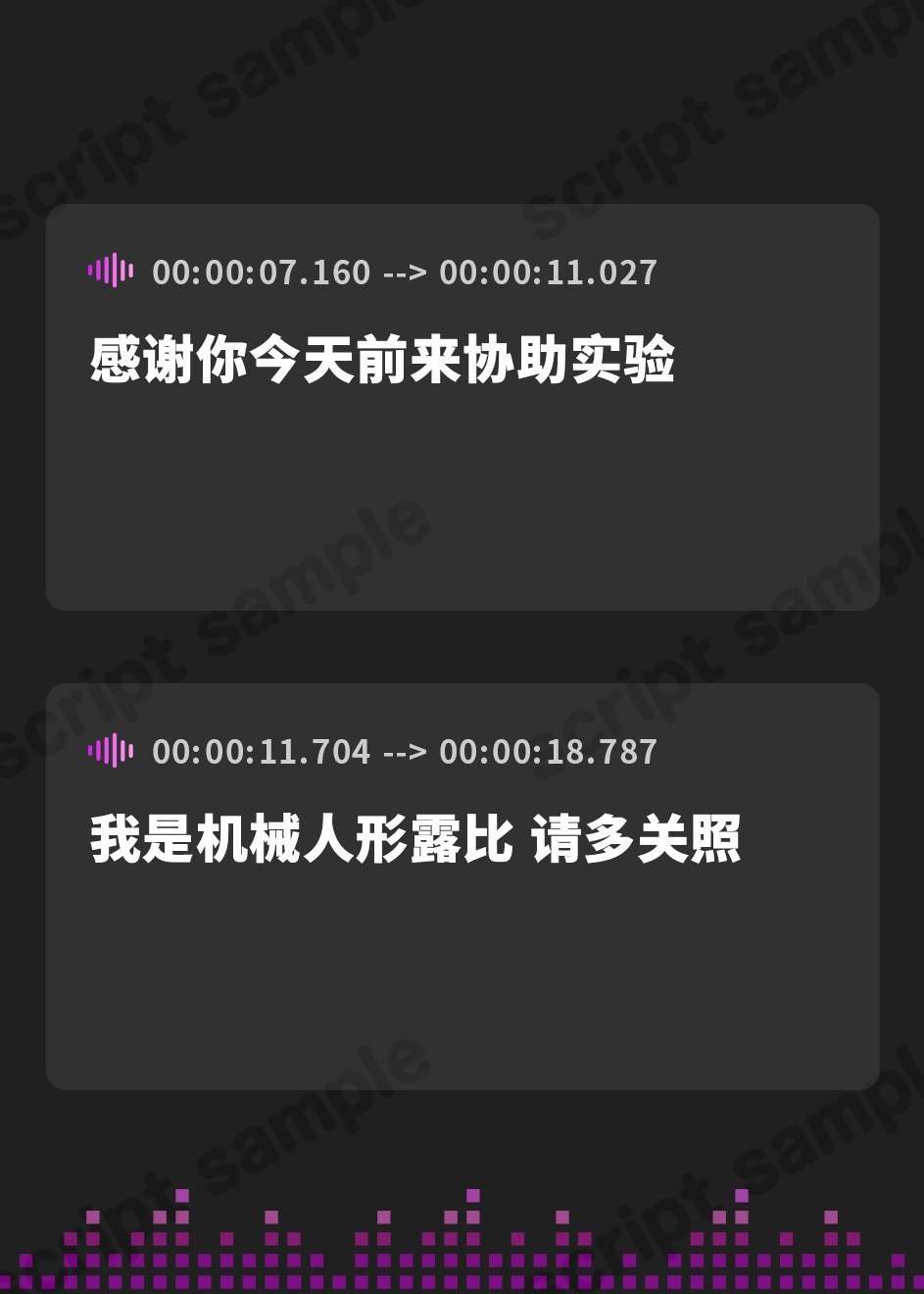【簡体中文版】機械人形の宝箱 DXボリューム!B-bishop10周年記念作品