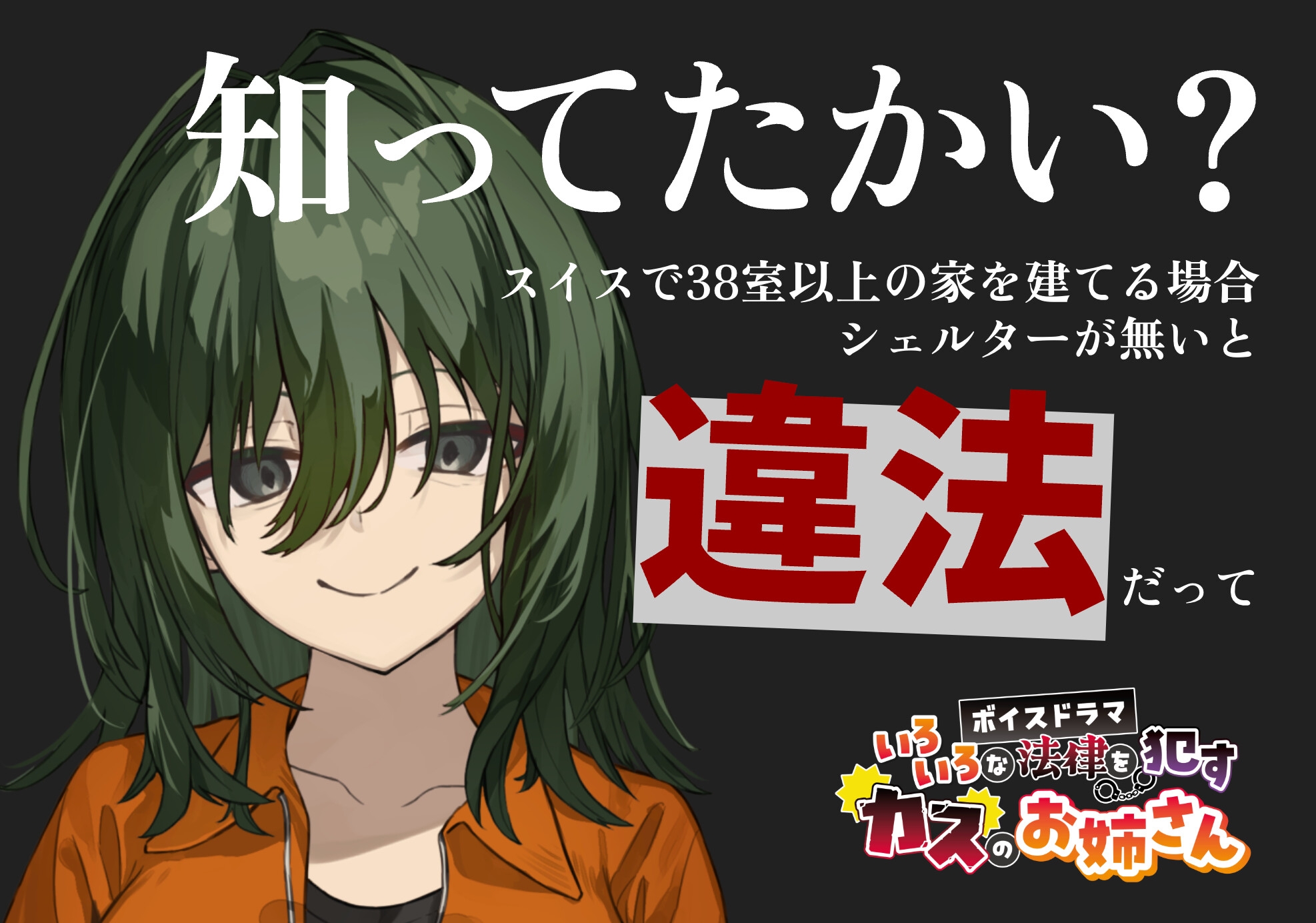 いろいろな法律を○すカスのお姉さん