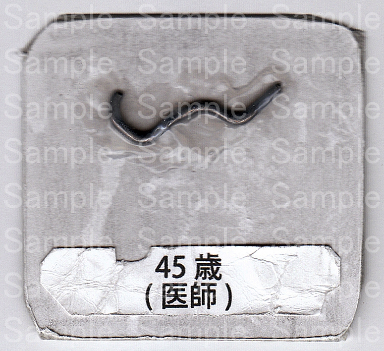 昔は人間だった