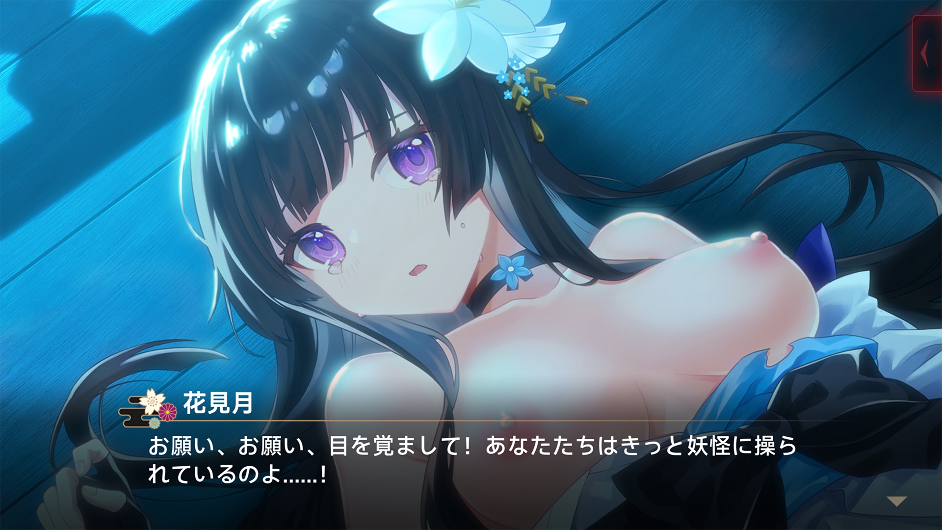 霊縁 18禁DLC (Steam用)