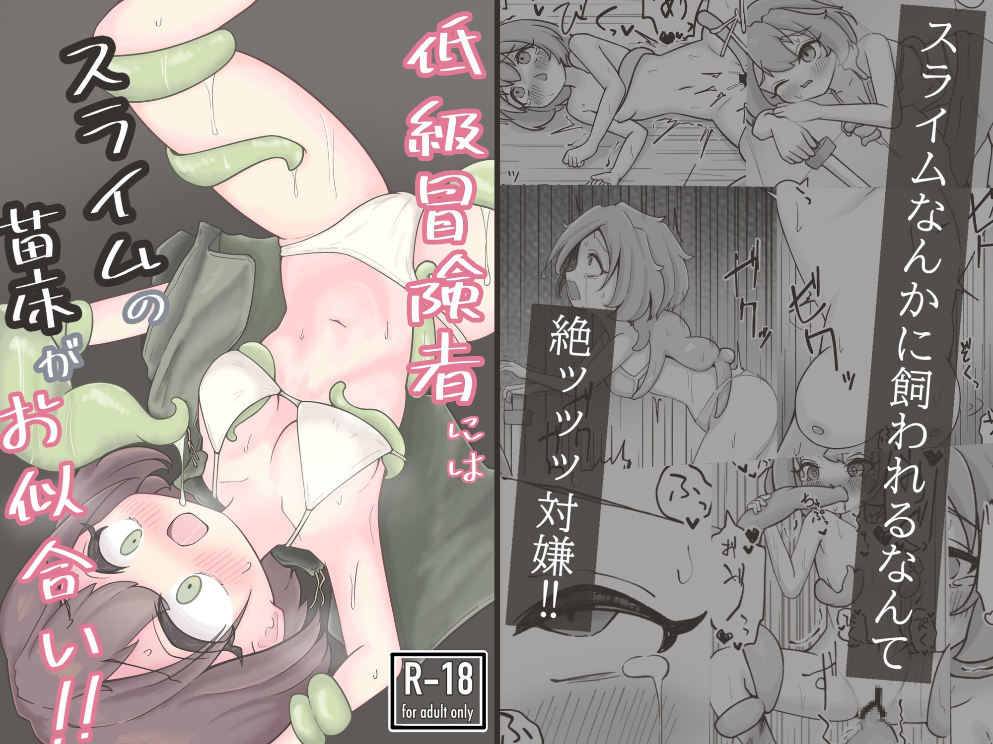 低級冒険者にはスライムの苗床がお似合い！！