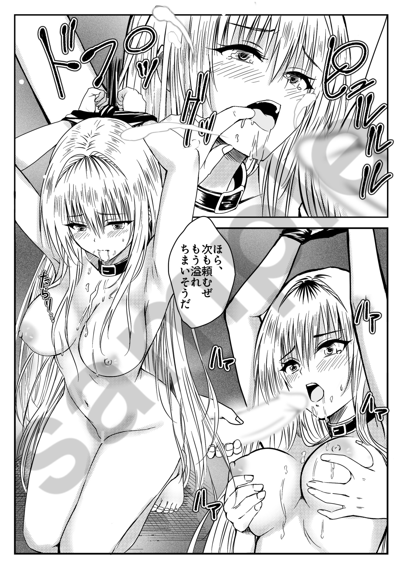 ティアーユ・ルナ●ィークファンブック『秘密の番人』